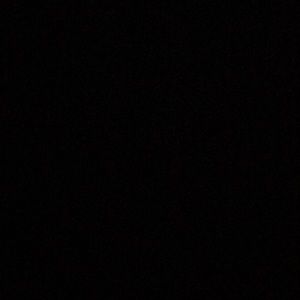 Meet your Posher, Shane